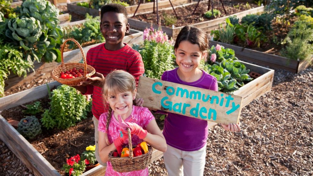 How Cohousing Works